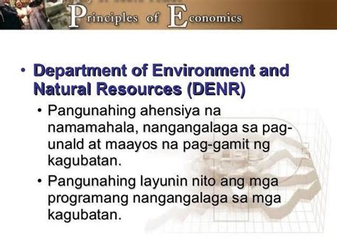 ano ang kahulugan ng denr sa tagalog|Secretary of Environment and Natural Resources .